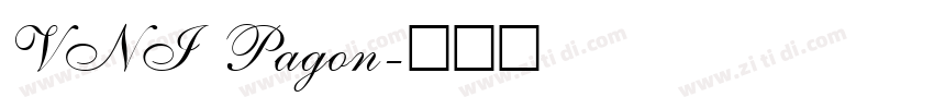 VNI Pagon字体转换